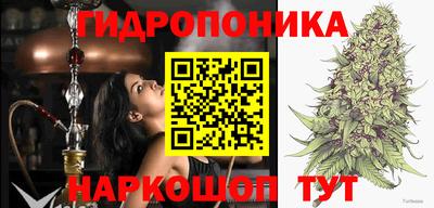 твердый Краснодар