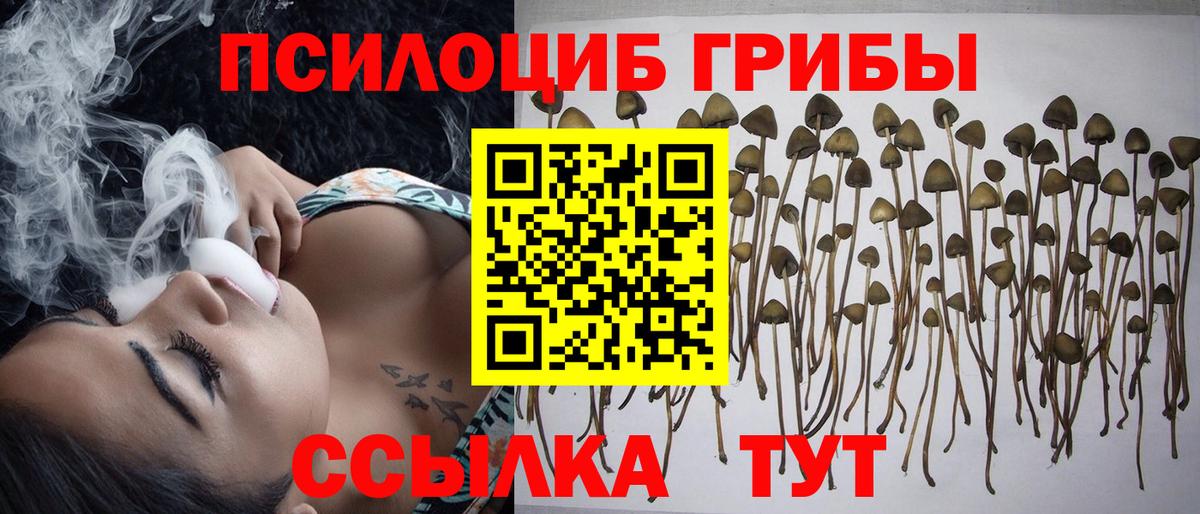 Псилоцибиновые грибы ЛСД  Галлюциногенные грибы GOLDEN TEACHER  Карталы  Вход с VPN 